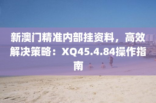 新澳门精准内部挂资料，高效解决策略：XQ45.4.84操作指南
