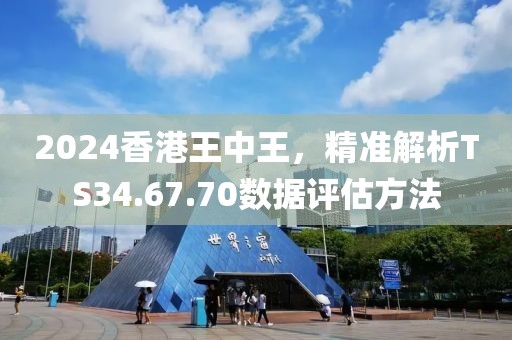 2024香港王中王，精准解析TS34.67.70数据评估方法