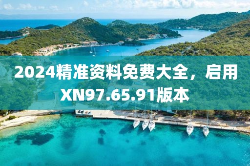 2024精准资料免费大全，启用XN97.65.91版本