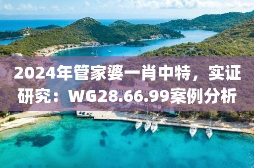2024年管家婆一肖中特，实证研究：WG28.66.99案例分析