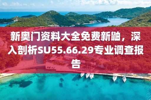 新奥门资料大全免费新鼬，深入剖析SU55.66.29专业调查报告
