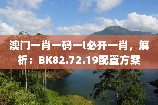 澳门一肖一码一l必开一肖，解析：BK82.72.19配置方案