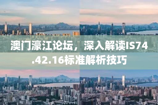 澳门濠江论坛，深入解读IS74.42.16标准解析技巧