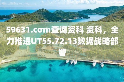 59631.cσm查询资科 资科，全力推进UT55.72.13数据战略部署