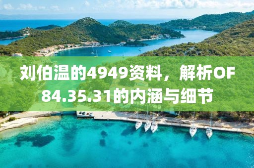 刘伯温的4949资料，解析OF84.35.31的内涵与细节