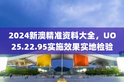 2024新澳精准资料大全，UO25.22.95实施效果实地检验