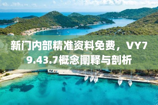 新门内部精准资料免费，VY79.43.7概念阐释与剖析
