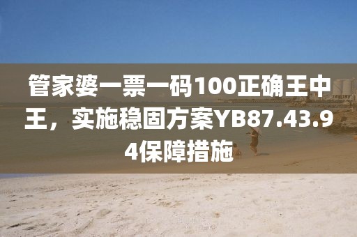 管家婆一票一码100正确王中王，实施稳固方案YB87.43.94保障措施