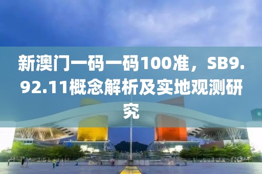新澳门一码一码100准，SB9.92.11概念解析及实地观测研究