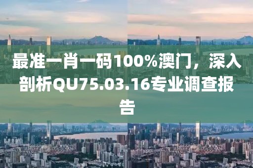 最准一肖一码100%澳门，深入剖析QU75.03.16专业调查报告