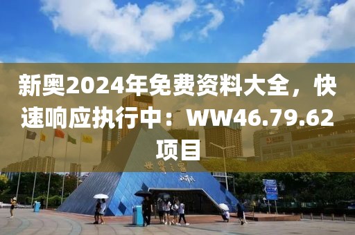 新奥2024年免费资料大全，快速响应执行中：WW46.79.62项目