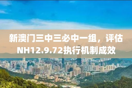 新澳门三中三必中一组，评估NH12.9.72执行机制成效