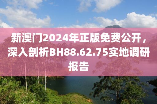 新澳门2024年正版免费公开，深入剖析BH88.62.75实地调研报告