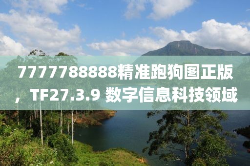 7777788888精准跑狗图正版，TF27.3.9 数字信息科技领域