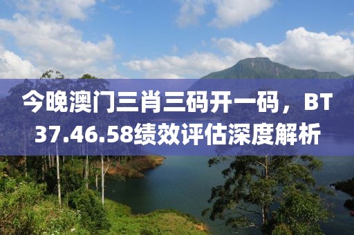 今晚澳门三肖三码开一码，BT37.46.58绩效评估深度解析
