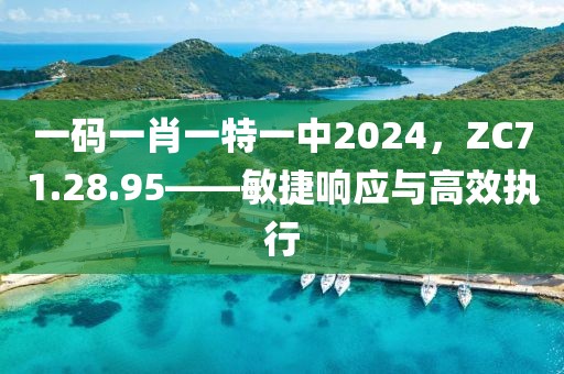 一码一肖一特一中2024，ZC71.28.95——敏捷响应与高效执行