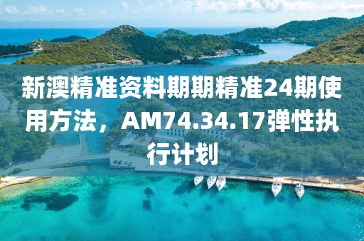 新澳精准资料期期精准24期使用方法，AM74.34.17弹性执行计划