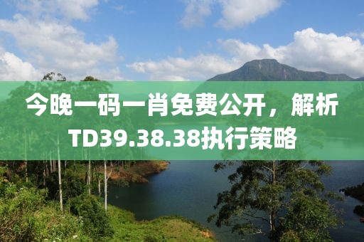 今晚一码一肖免费公开，解析TD39.38.38执行策略