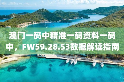 澳门一码中精准一码资料一码中，FW59.28.53数据解读指南