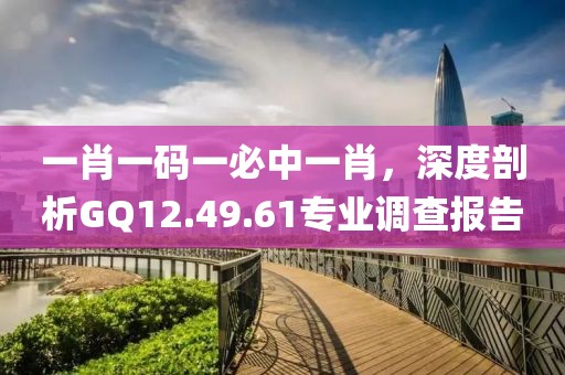 一肖一码一必中一肖，深度剖析GQ12.49.61专业调查报告
