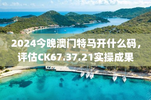 2024今晚澳门特马开什么码，评估CK67.37.21实操成果