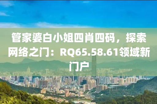 管家婆白小姐四肖四码，探索网络之门：RQ65.58.61领域新门户