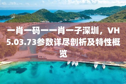 一肖一码一一肖一子深圳，VH5.03.73参数详尽剖析及特性概览