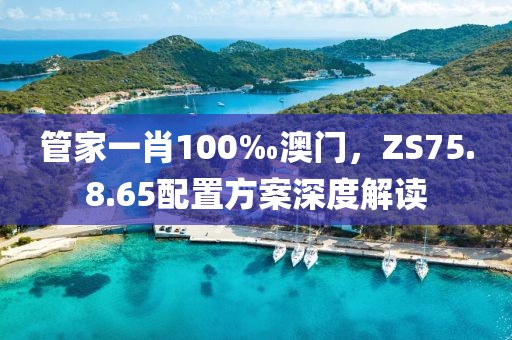 管家一肖100‰澳门，ZS75.8.65配置方案深度解读