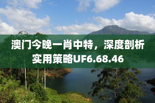 澳门今晚一肖中特，深度剖析实用策略UF6.68.46