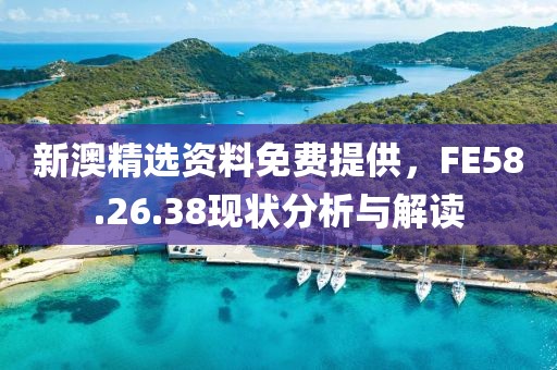 新澳精选资料免费提供，FE58.26.38现状分析与解读