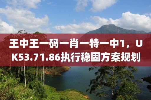 王中王一码一肖一特一中1，UK53.71.86执行稳固方案规划