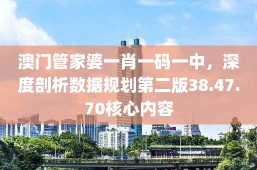澳门管家婆一肖一码一中，深度剖析数据规划第二版38.47.70核心内容