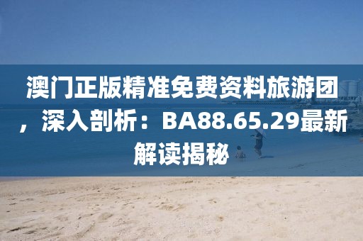 澳门正版精准免费资料旅游团，深入剖析：BA88.65.29最新解读揭秘