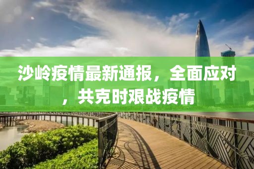 沙岭疫情最新通报，全面应对，共克时艰战疫情