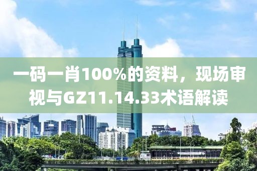 一码一肖100%的资料，现场审视与GZ11.14.33术语解读