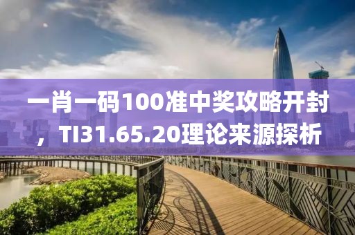 一肖一码100准中奖攻略开封，TI31.65.20理论来源探析
