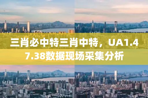 三肖必中特三肖中特，UA1.47.38数据现场采集分析
