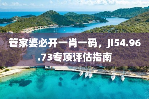 管家婆必开一肖一码，JI54.96.73专项评估指南
