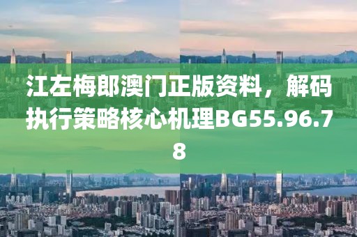 江左梅郎澳门正版资料，解码执行策略核心机理BG55.96.78