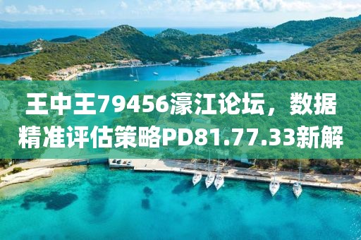 王中王79456濠江论坛，数据精准评估策略PD81.77.33新解