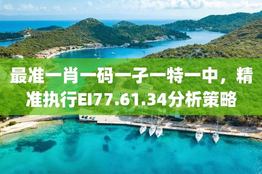 最准一肖一码一孑一特一中，精准执行EI77.61.34分析策略