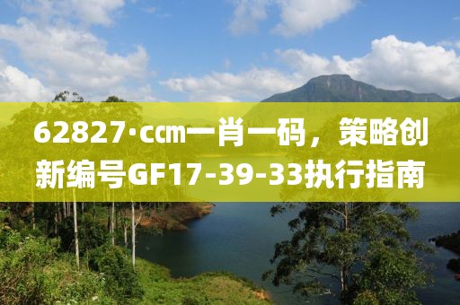 62827·c㎝一肖一码，策略创新编号GF17-39-33执行指南