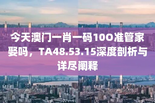 今天澳门一肖一码10O准管家娶吗，TA48.53.15深度剖析与详尽阐释