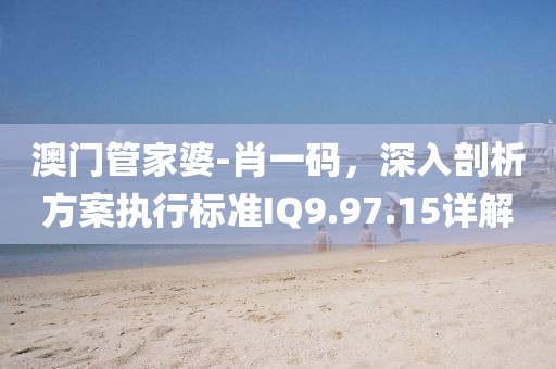 澳门管家婆-肖一码，深入剖析方案执行标准IQ9.97.15详解