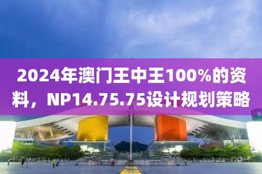 2024年澳门王中王100%的资料，NP14.75.75设计规划策略