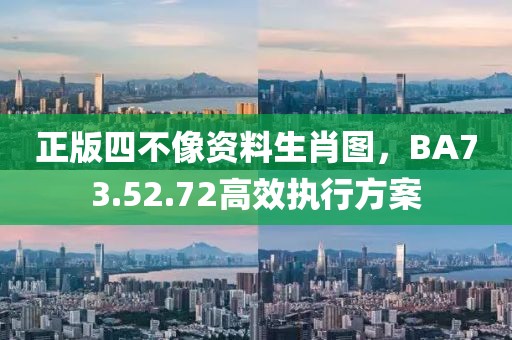 正版四不像资料生肖图，BA73.52.72高效执行方案