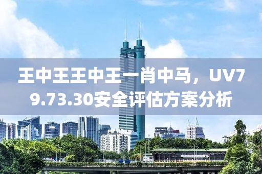 王中王王中王一肖中马，UV79.73.30安全评估方案分析