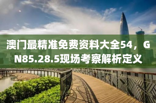 澳门最精准免费资料大全54，GN85.28.5现场考察解析定义
