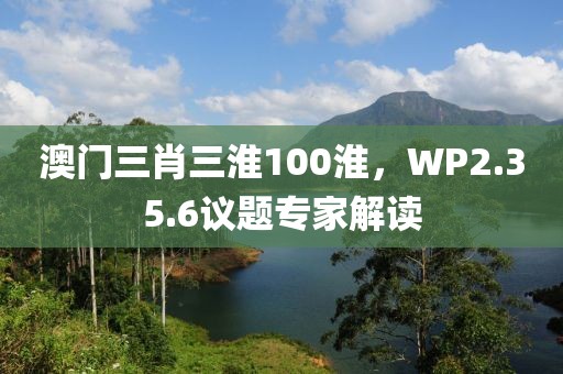 澳门三肖三淮100淮，WP2.35.6议题专家解读