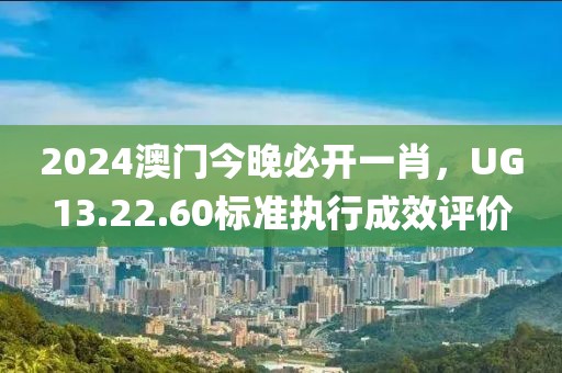 2024澳门今晚必开一肖，UG13.22.60标准执行成效评价